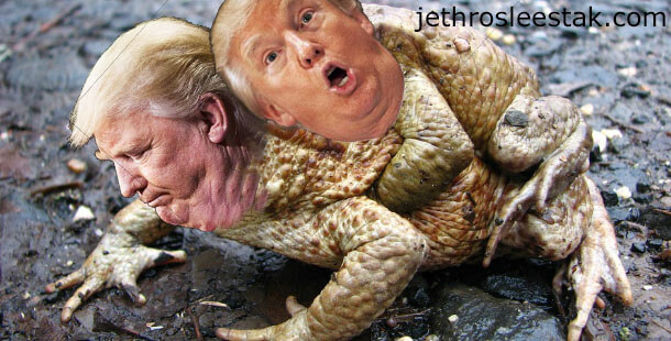 Donald Trumpimal Frogs B