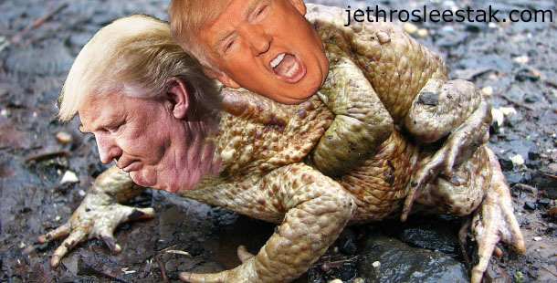 Donald Trumpimal Frogs