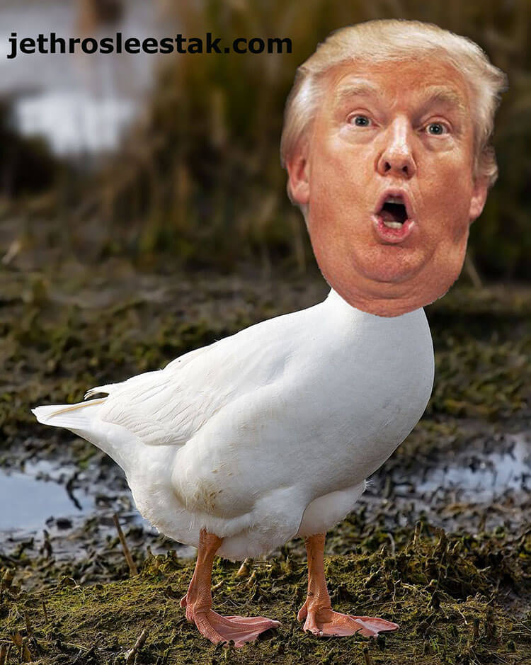 Donald Trumpimal Goose