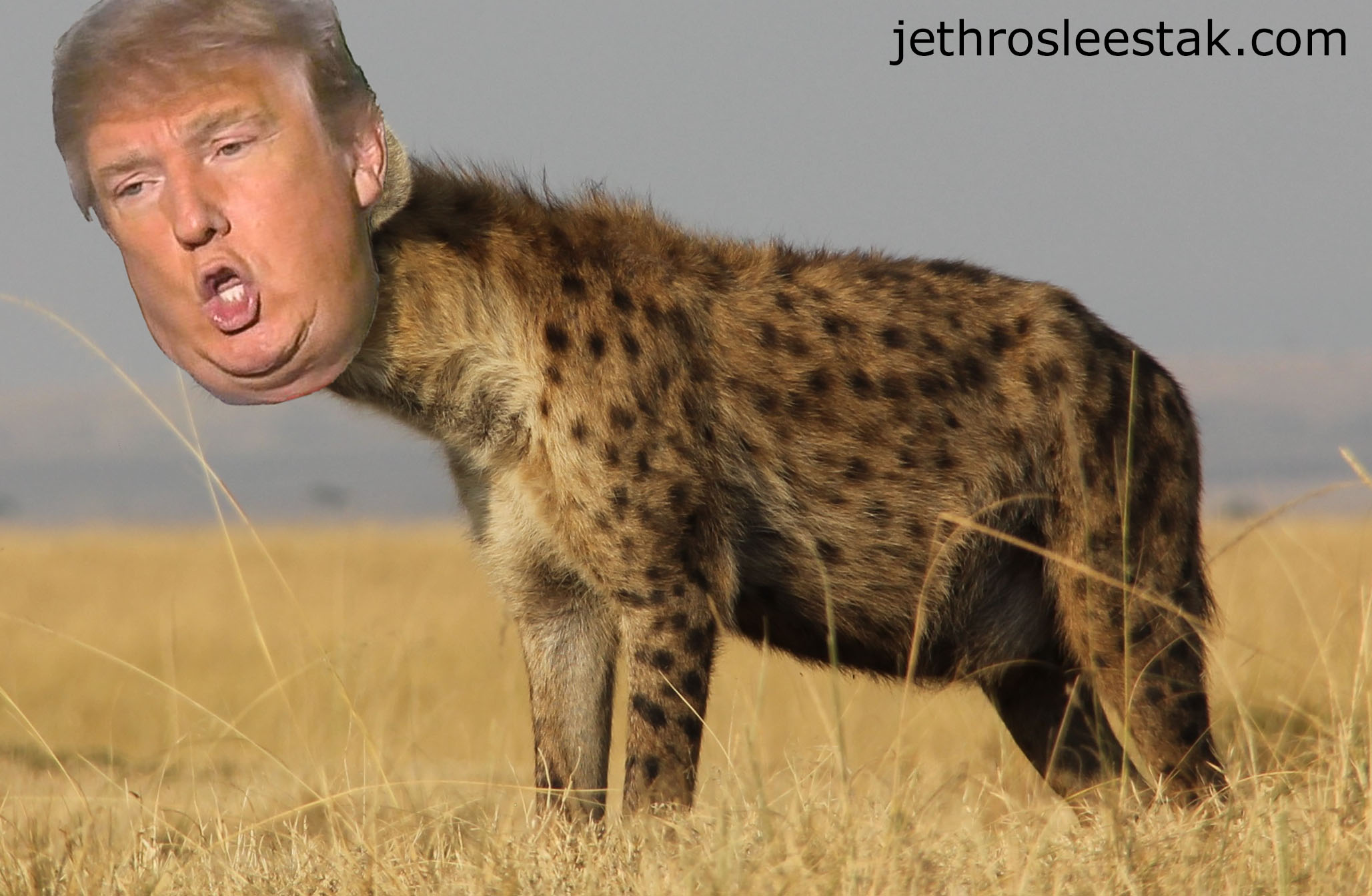 Donald Trumpimal Hyena