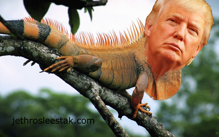 Donald Trumpimal Iguana D