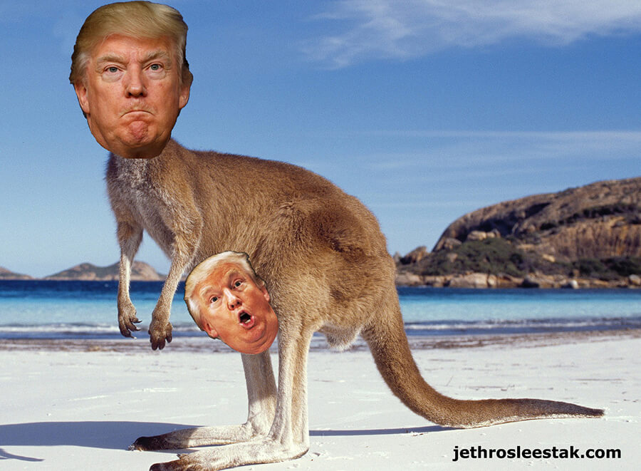 Donald Trumpimal Kangaroos