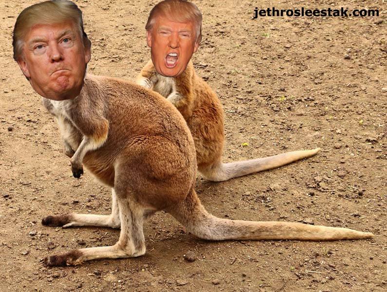 Donald Trumpimal Kangaroos