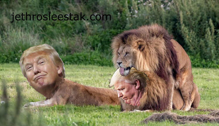 Donald Trumpimal Lions C