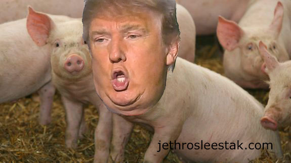 Donald Trumpimal Pigs C