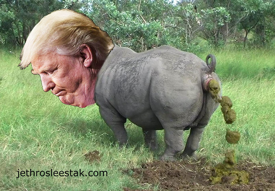 Donald Trumpimal Rhinoceros