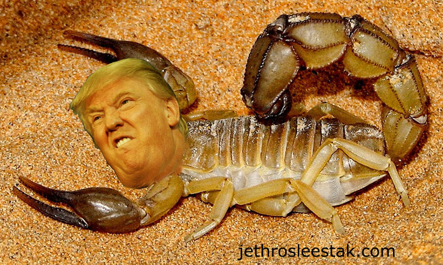 Donald Trumpimal Scorpion