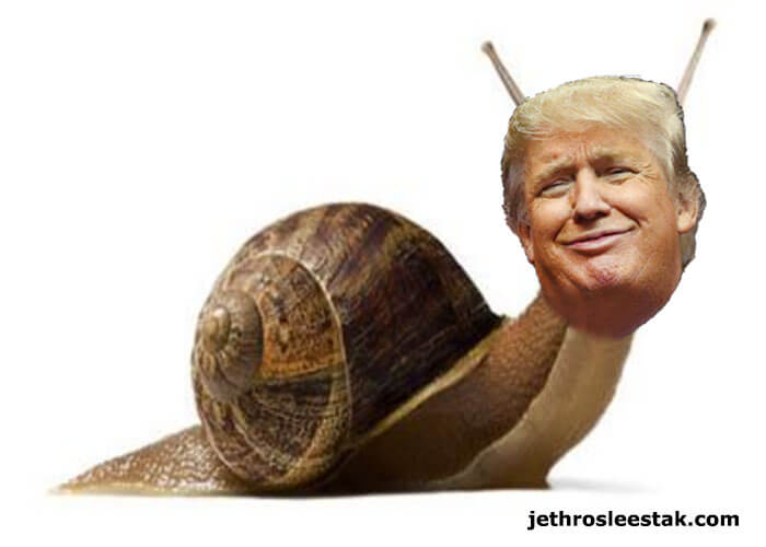 Donald Trumpimal Snail