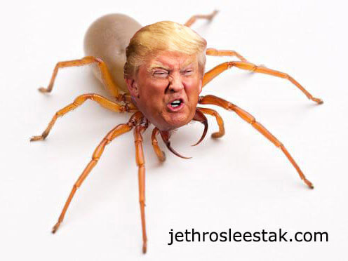 Donald Trumpimal Spider C