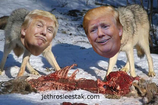 Donald Trumpimal Wolves