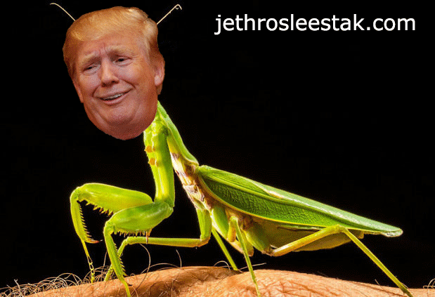 Donald Trumpimal Praying Mantis Animated GIF