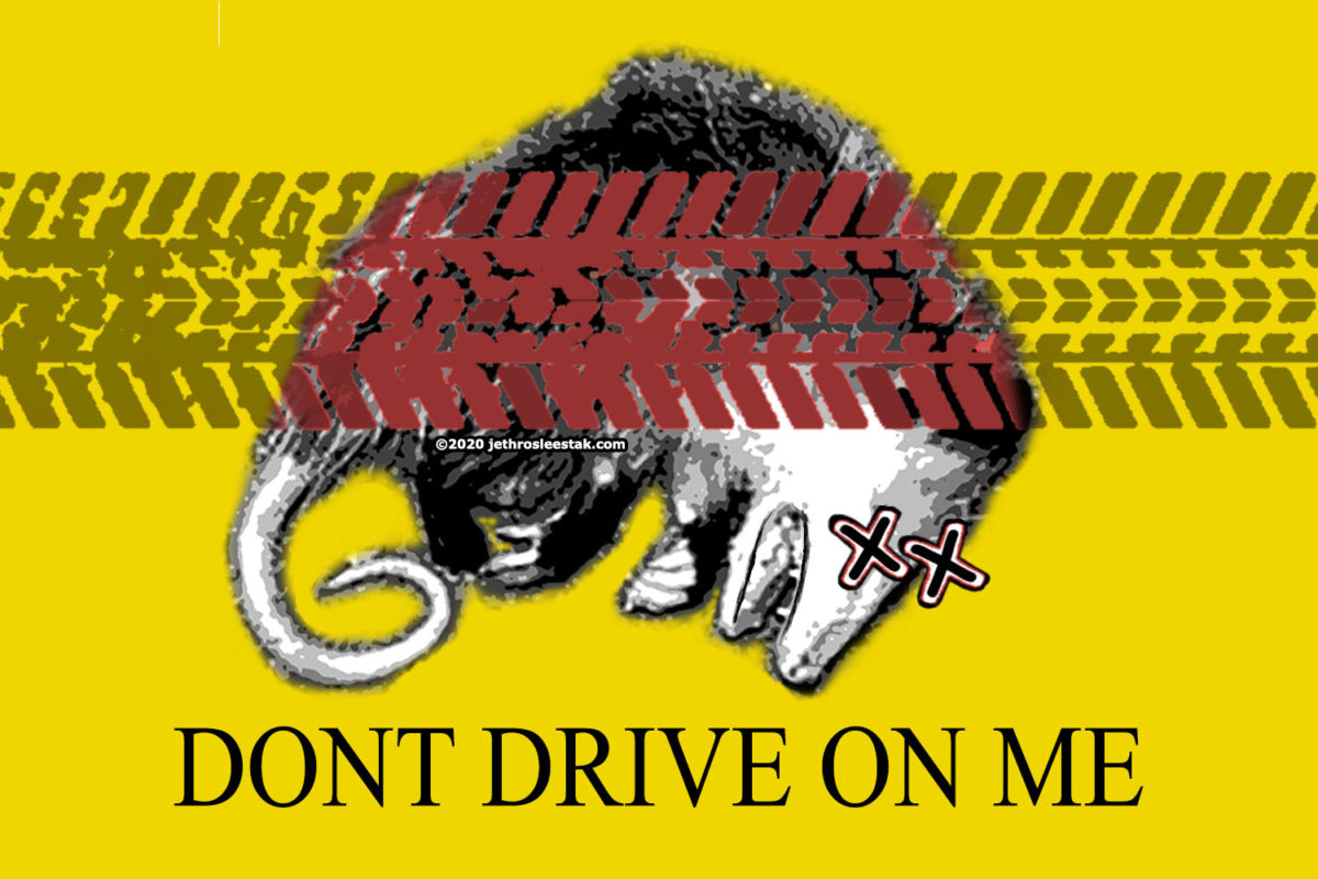 Flag: Dont Drive on Me