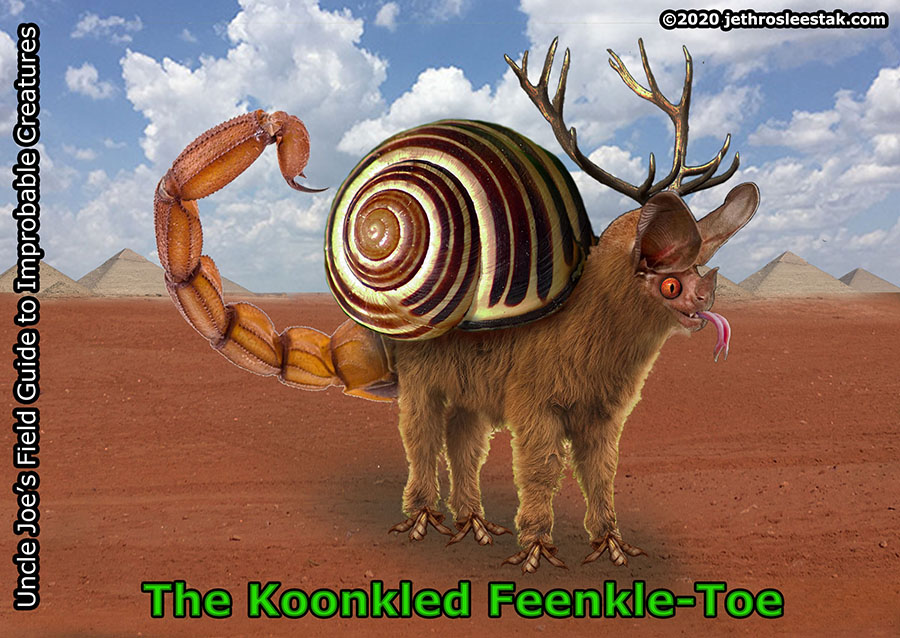 The Koonkled Feenkle-Toe