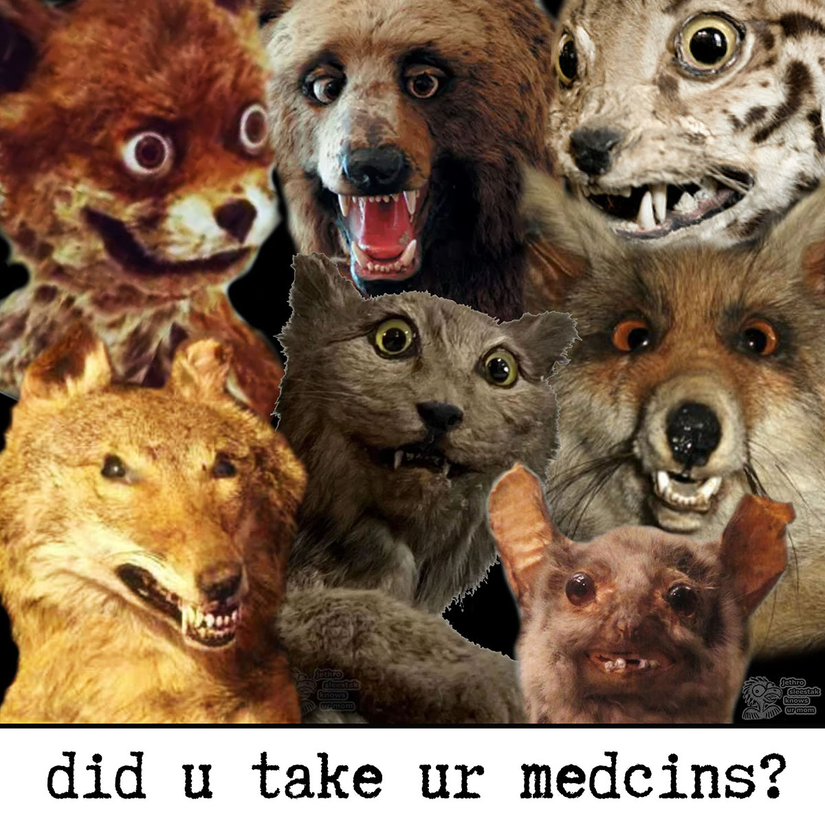 Did U Take Ur Medcins?