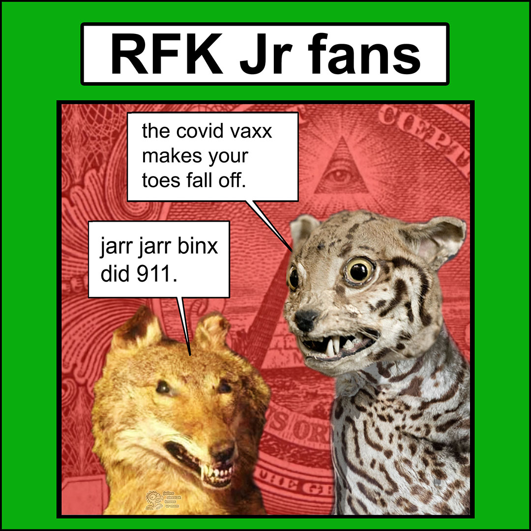 RFK Jr Fans