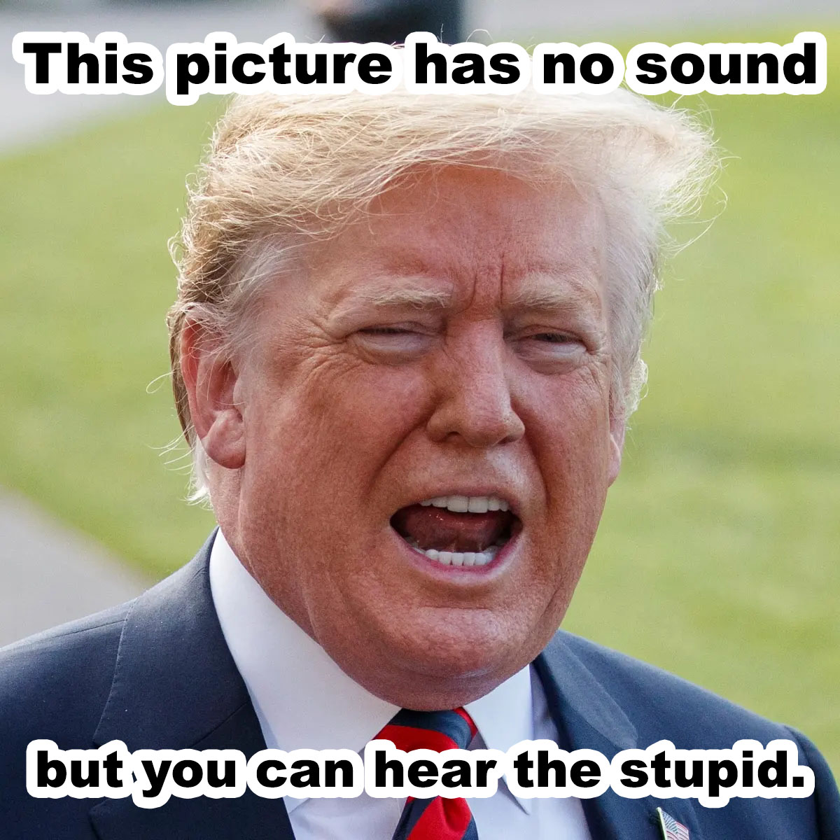 This Picture Has No Sound, But You Can Hear The Stupid