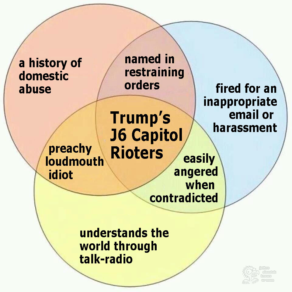 Only The Best People: A Venn Diagram of Trump's J6 Capitol Rioters